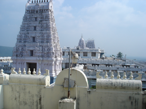 Information about story on the popular Lord Veera Venkata Sri Satyanarayana Swamy Grand   Kalyanam Today (21-05-2013)